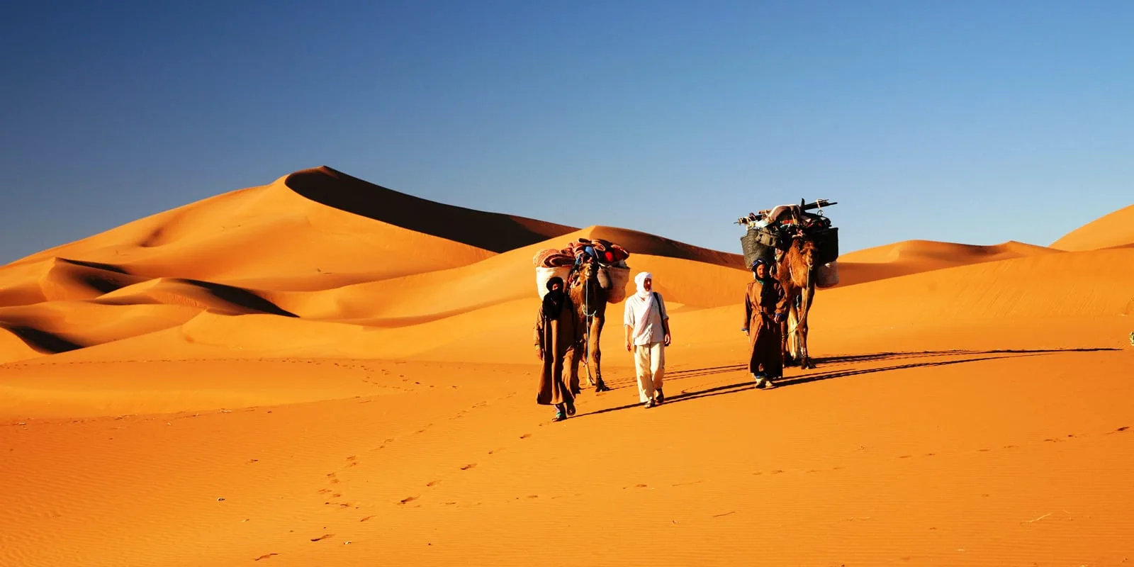 2 Nights In The Sahara Desert