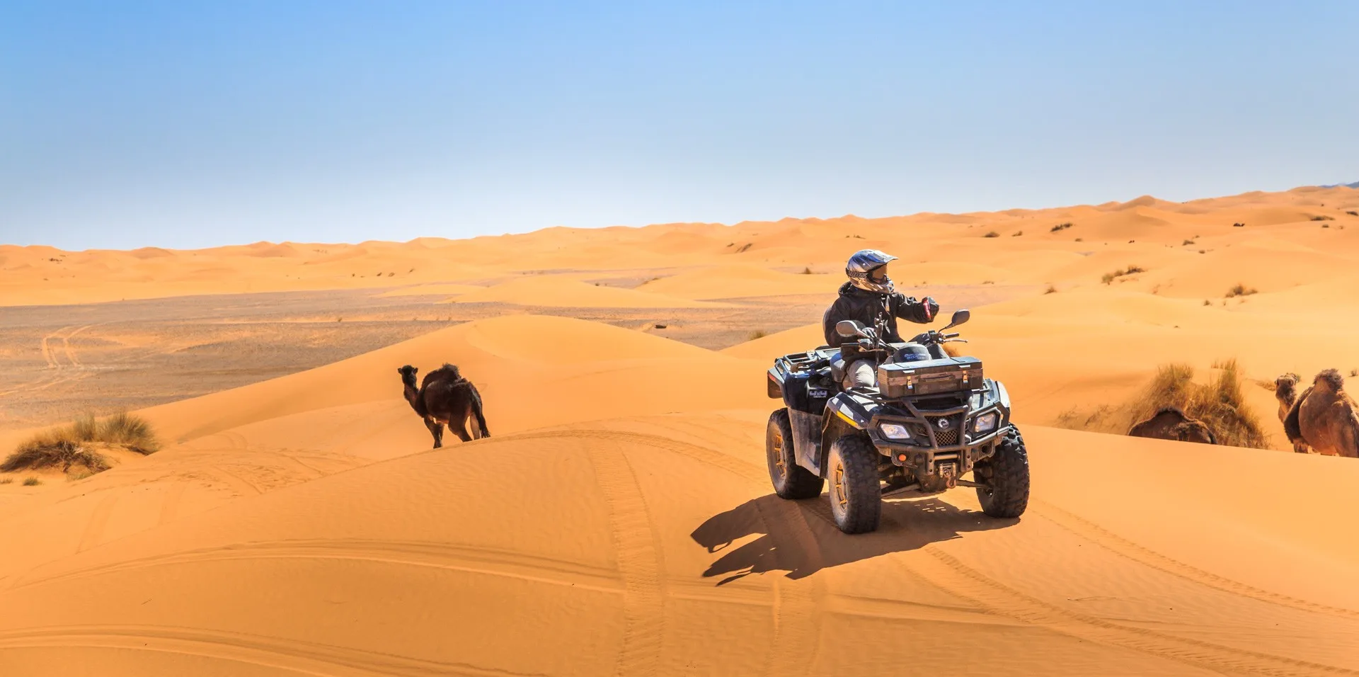 Quad Biking In The Desert Of Merzouga